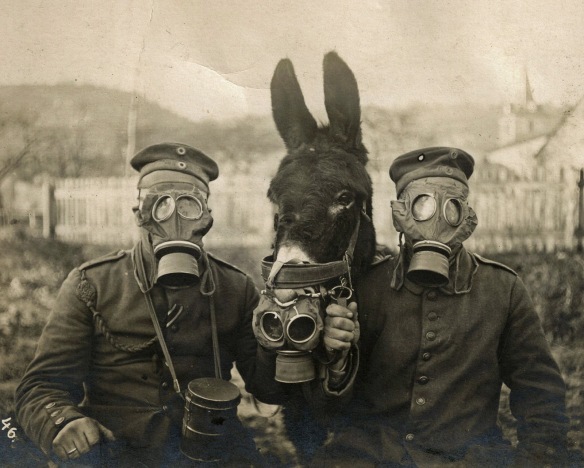 Soldiers and mule wearing gas masks, 1916